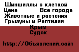 Шиншиллы с клеткой › Цена ­ 8 000 - Все города Животные и растения » Грызуны и Рептилии   . Крым,Судак